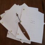 A Pile of My Screenplays